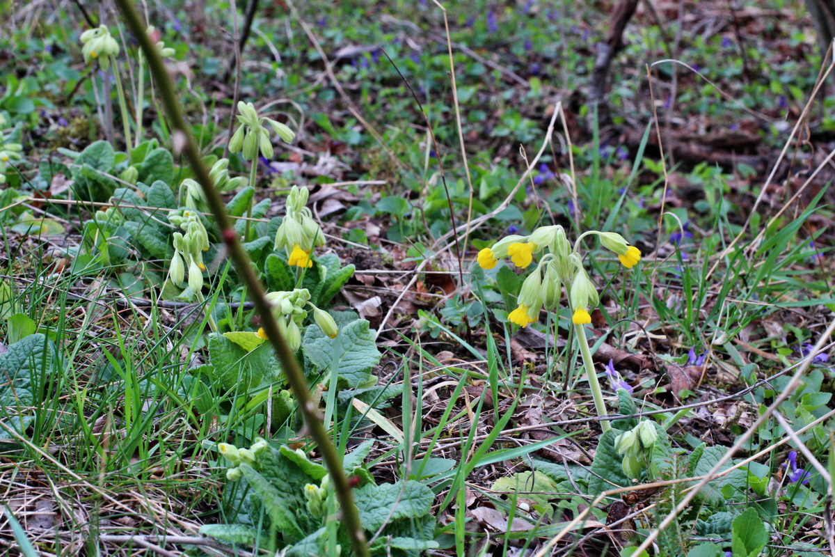 2014_03_21_00038160p_Bildgr��e �ndern