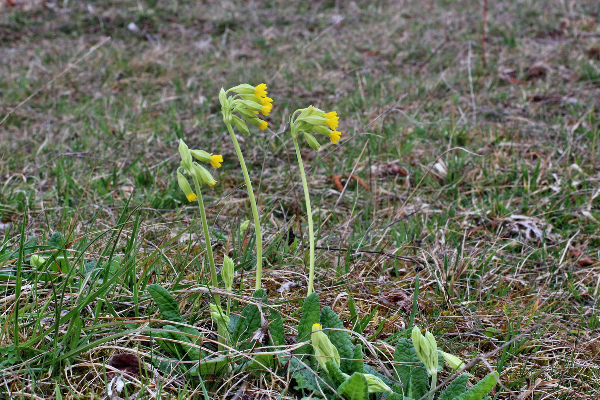 2014_03_21_00038163p_Bildgr��e �ndern