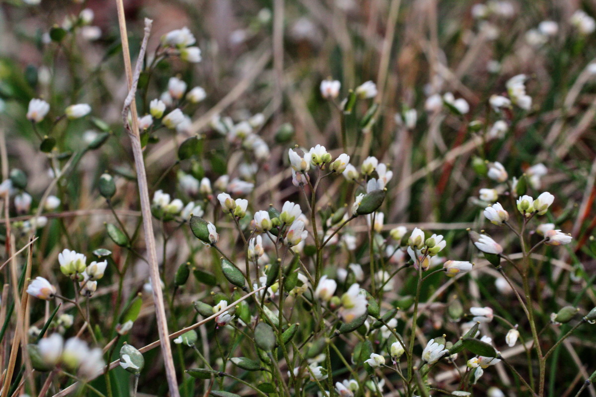 2014_03_21_00038168p_Bildgr��e �ndern