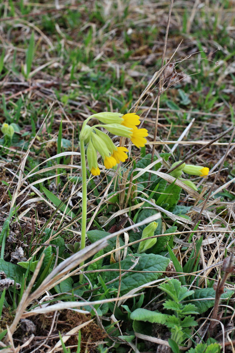 2014_03_21_00038173p_Bildgr��e �ndern