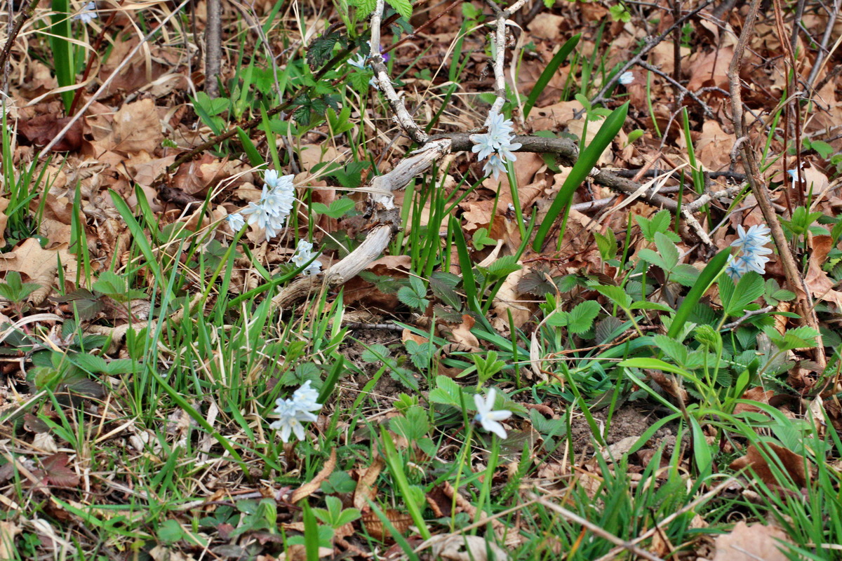 2014_03_21_00038183p_Bildgr��e �ndern