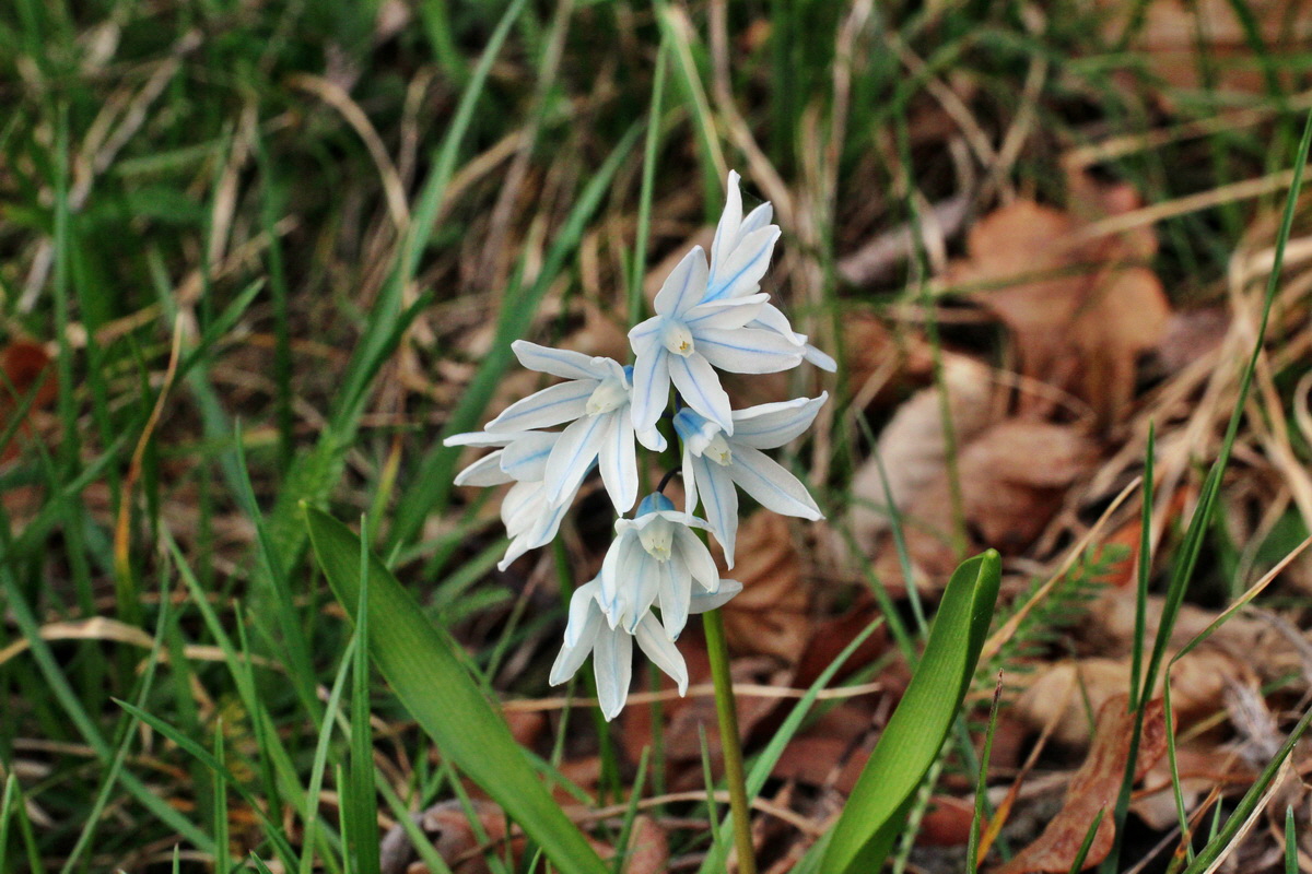 2014_03_21_00038187p_Bildgr��e �ndern