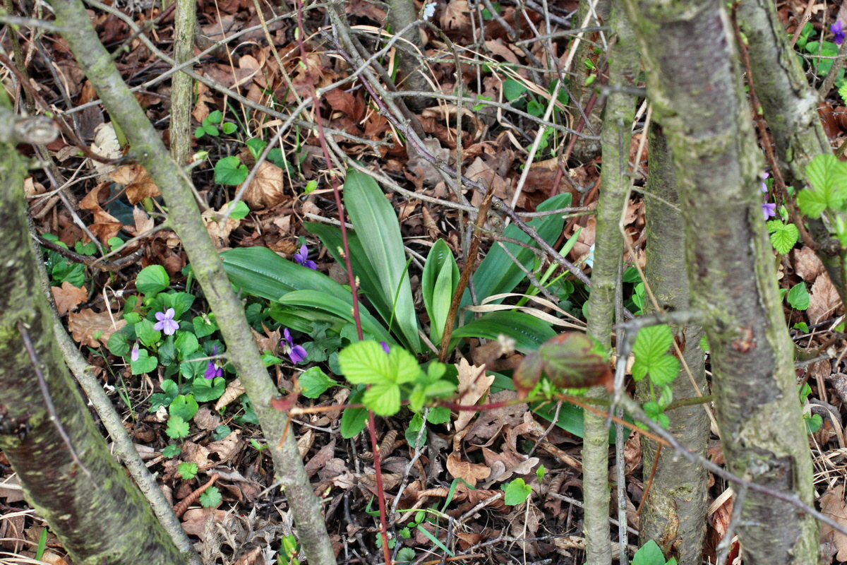 2014_03_21_00038189p_Bildgr��e �ndern