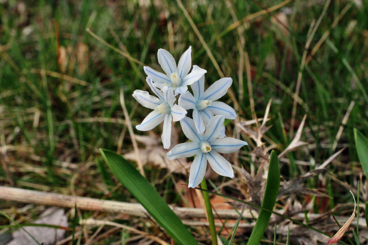 2014_03_21_00038192p_Bildgr��e �ndern