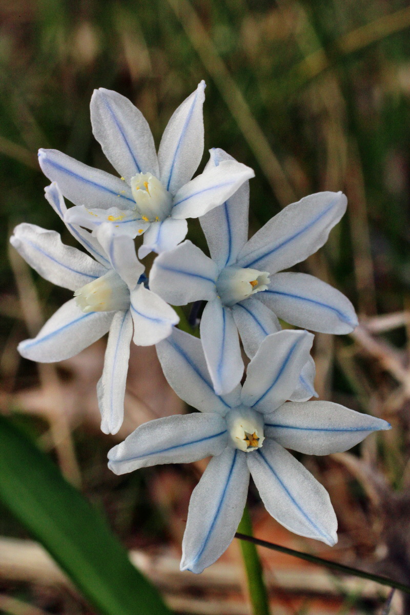 2014_03_21_00038193p_Bildgr��e �ndern