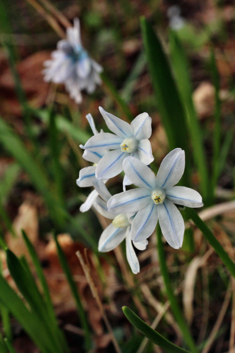 2014_03_21_00038203p_Bildgr��e �ndern