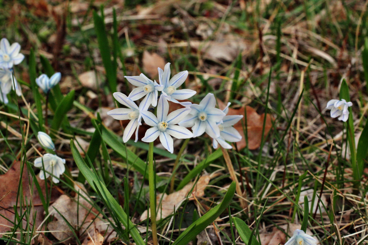 2014_03_21_00038209p_Bildgr��e �ndern