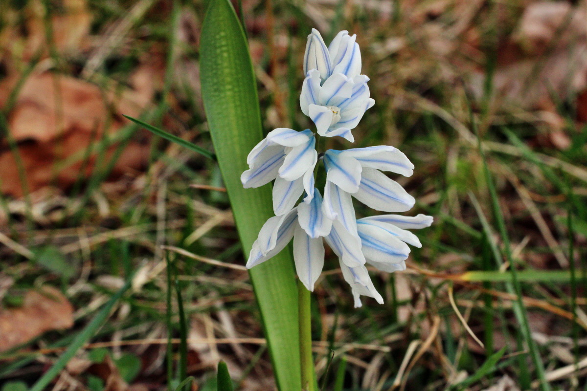 2014_03_21_00038217p_Bildgr��e �ndern