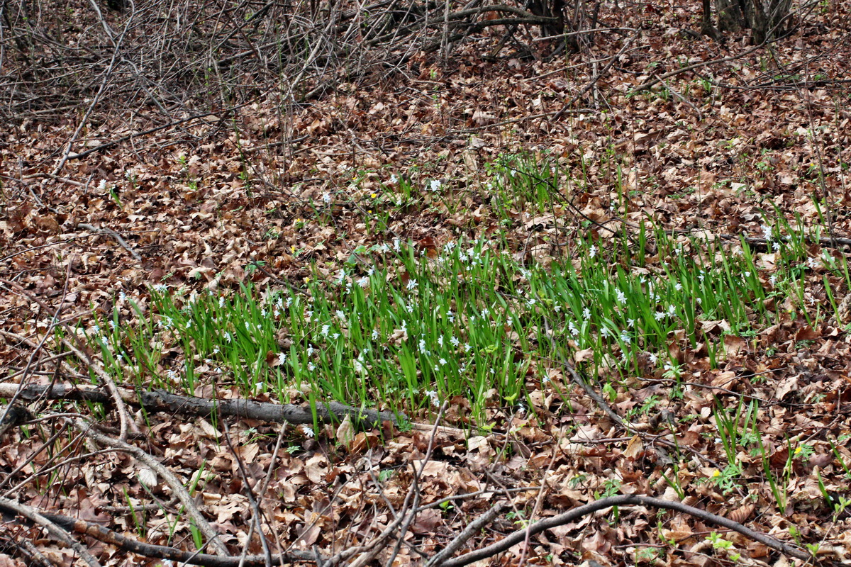 2014_03_21_00038223p_Bildgr��e �ndern