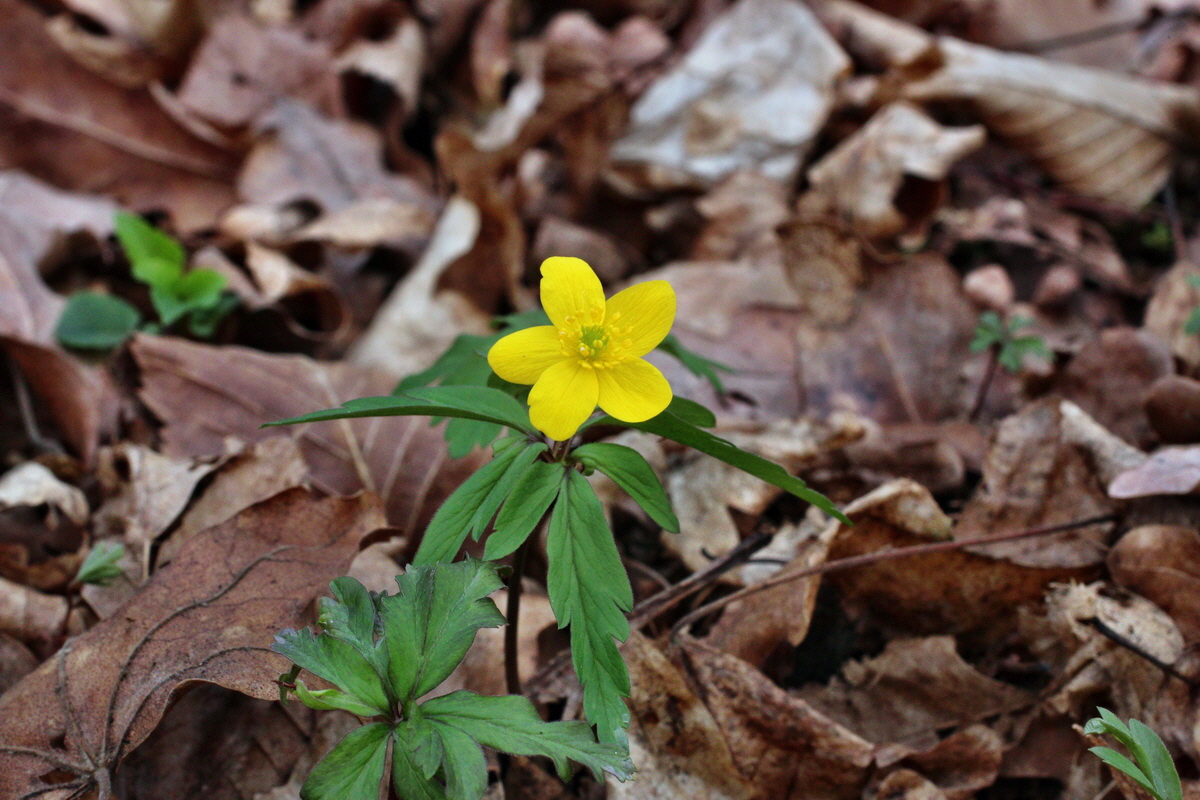 2014_03_21_00038227p_Bildgr��e �ndern