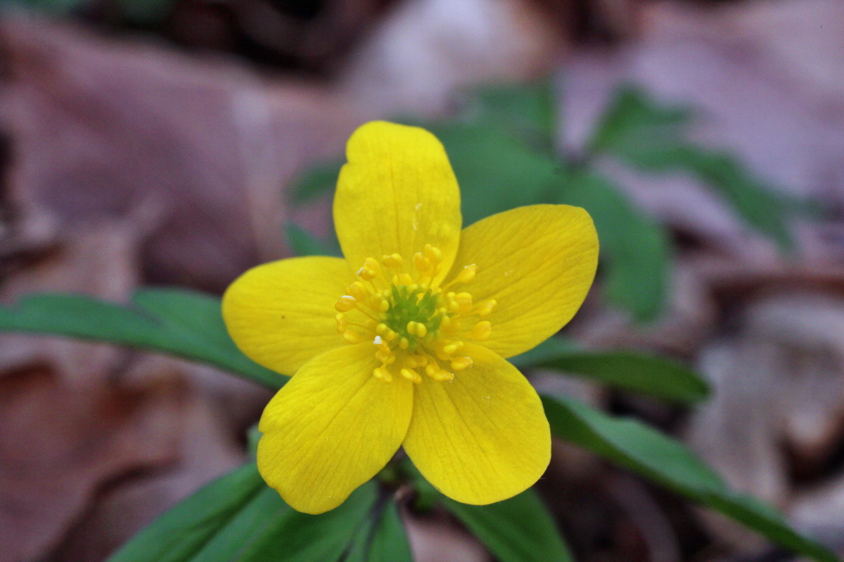 2014_03_21_00038228p_Bildgr��e �ndern