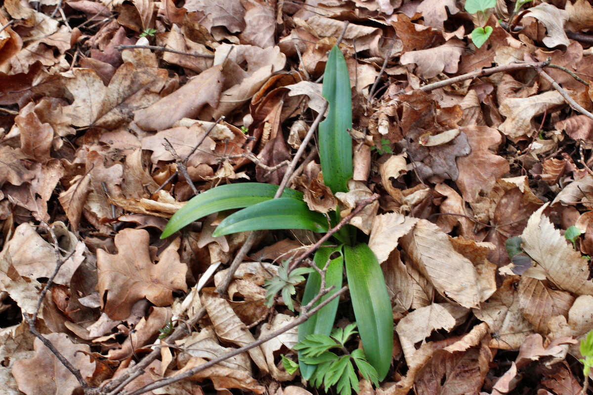 2014_03_21_00038230p_Bildgr��e �ndern