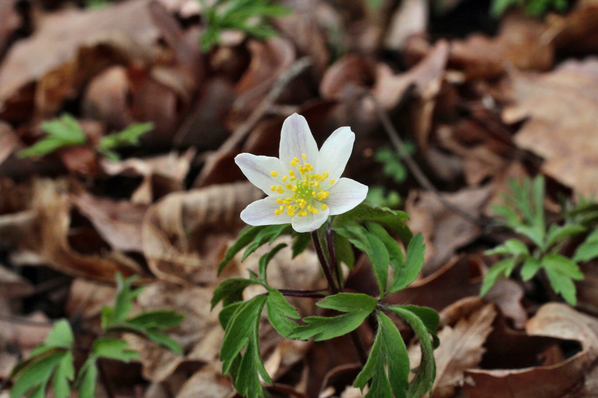 2014_03_21_00038233p_Bildgr��e �ndern