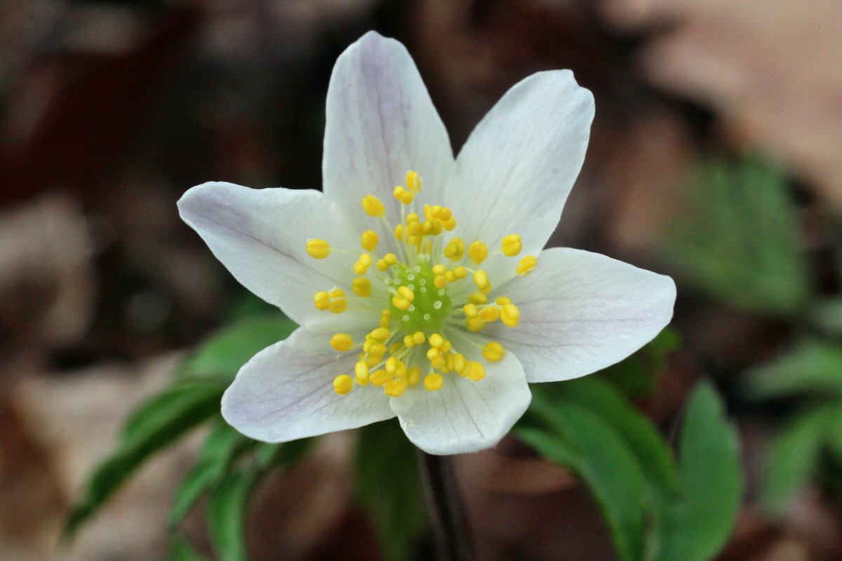 2014_03_21_00038234p_Bildgr��e �ndern