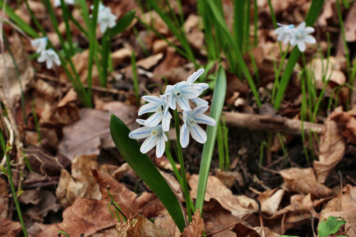 2014_03_21_00038239p_Bildgr��e �ndern