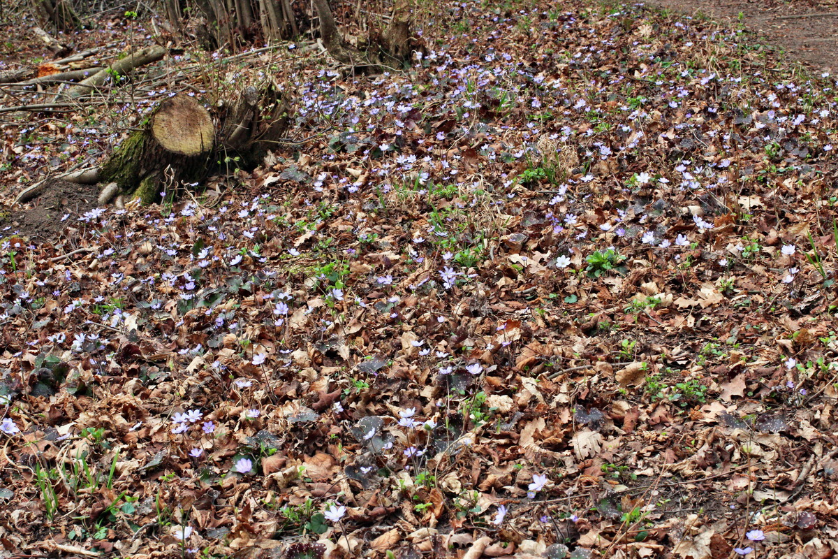 2014_03_21_00038244p_Bildgr��e �ndern