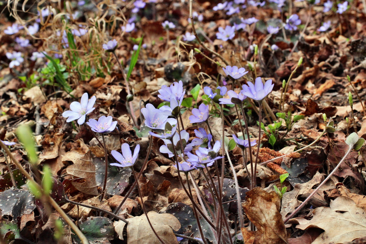 2014_03_21_00038248p_Bildgr��e �ndern