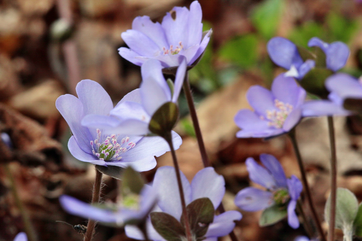 2014_03_21_00038264p_Bildgr��e �ndern