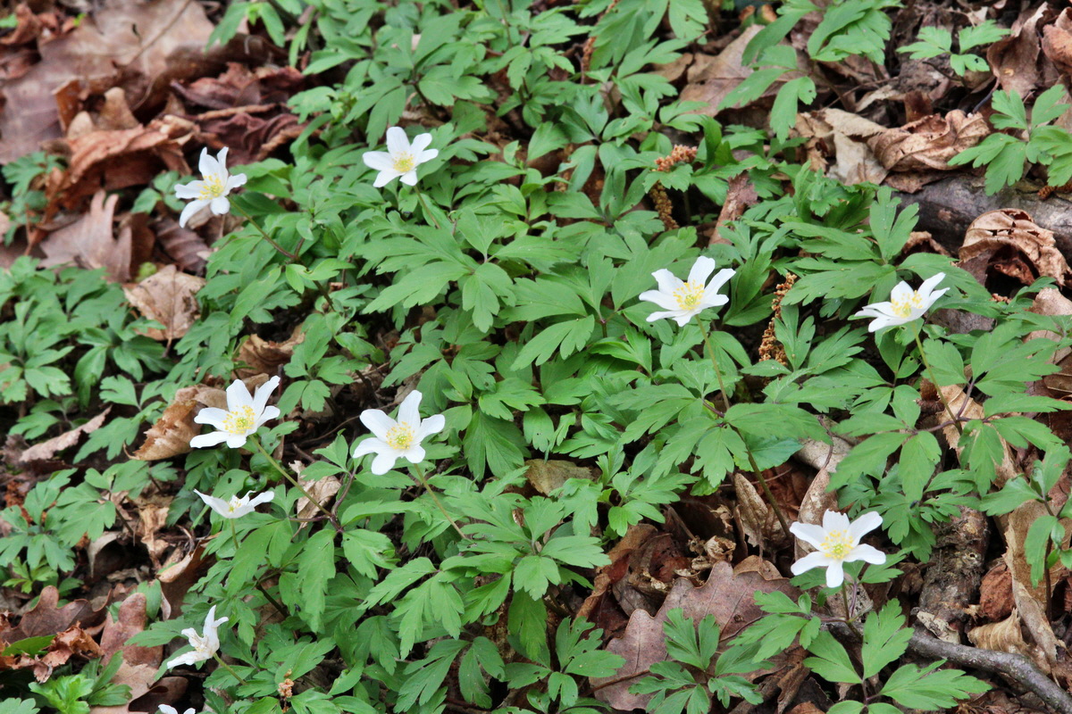 2014_03_21_00038285p_Bildgr��e �ndern