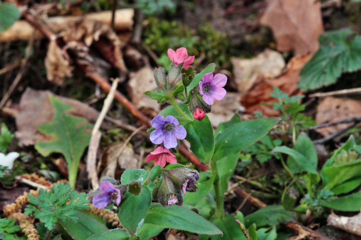 2014_03_21_00038288p_Bildgr��e �ndern