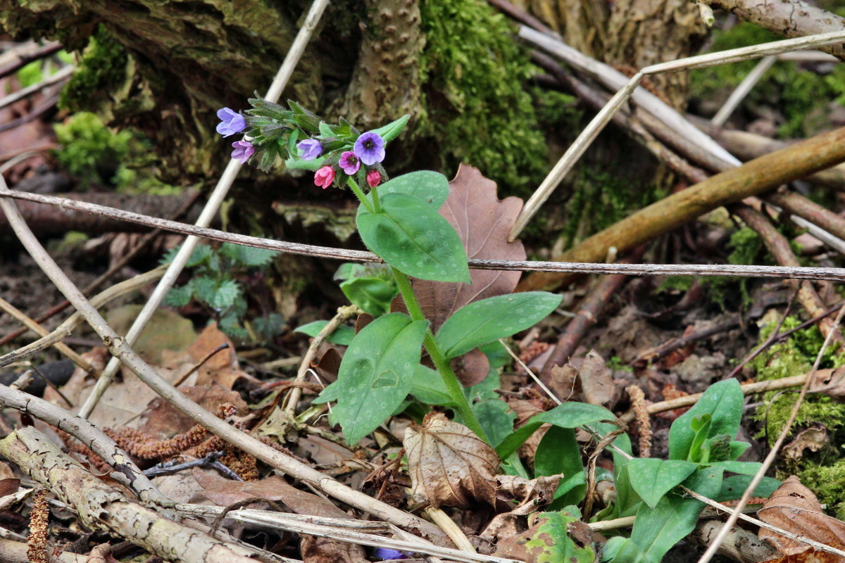 2014_03_21_00038294p_Bildgr��e �ndern