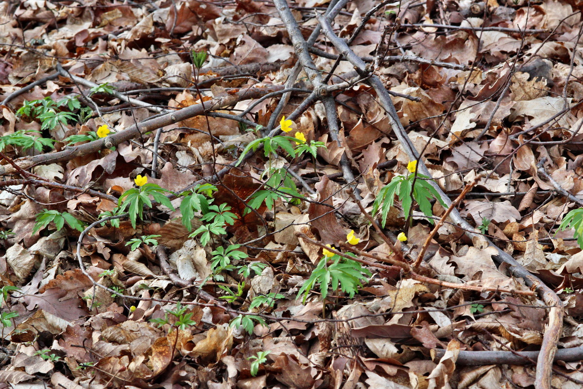 2014_03_21_00038306p_Bildgr��e �ndern