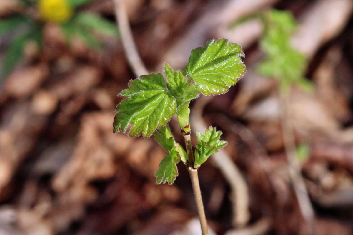 2014_03_21_00038320p_Bildgr��e �ndern