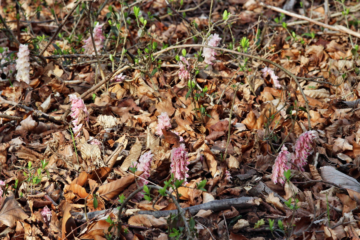 2014_03_21_00038336p_Bildgr��e �ndern