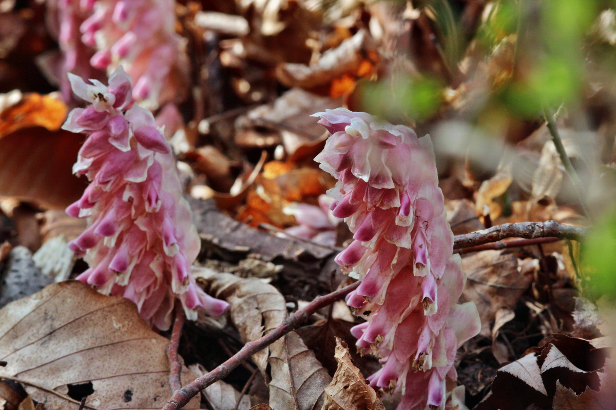 2014_03_21_00038341p_Bildgr��e �ndern