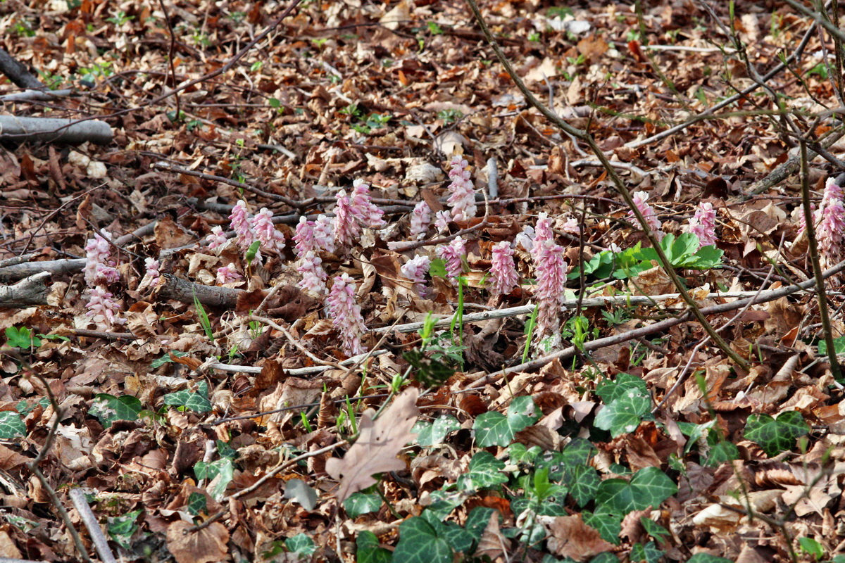 2014_03_21_00038345p_Bildgr��e �ndern