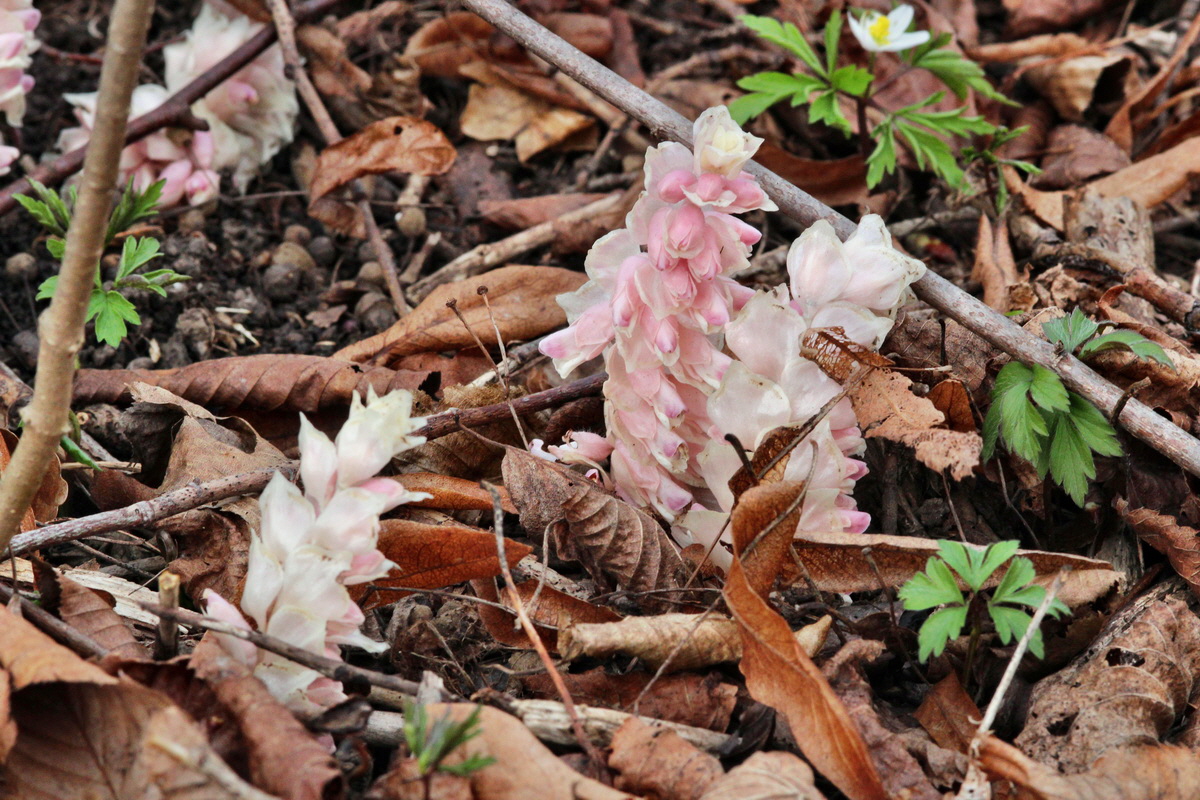 2014_03_21_00038352p_Bildgr��e �ndern