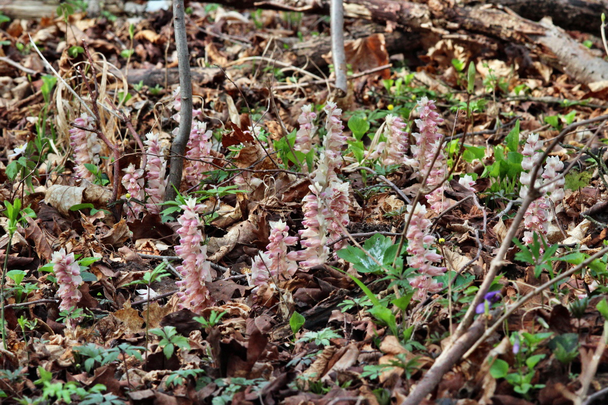 2014_03_21_00038359p_Bildgr��e �ndern