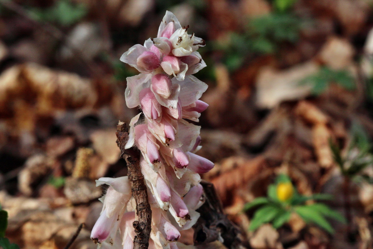 2014_03_21_00038364p_Bildgr��e �ndern