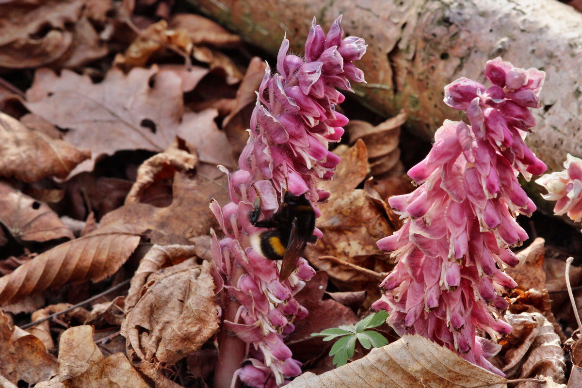 2014_03_21_00038411p_Bildgr��e �ndern