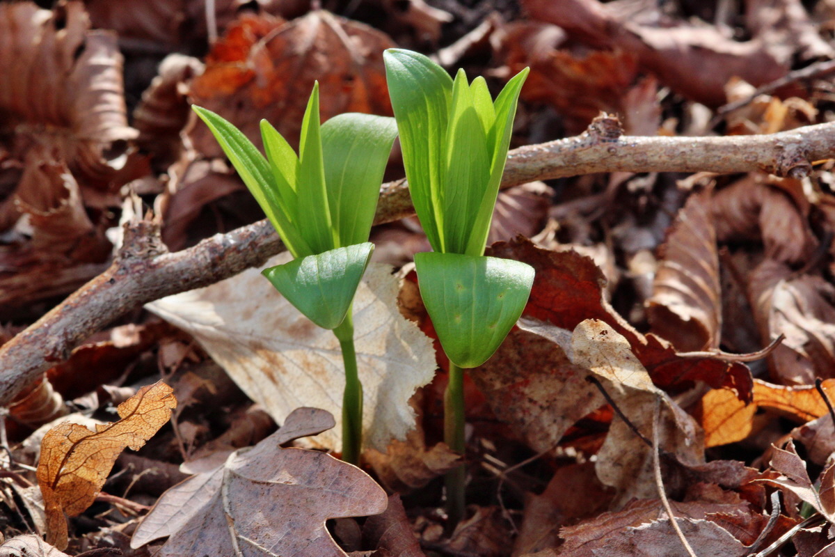 2014_03_21_00038440p_Bildgr��e �ndern