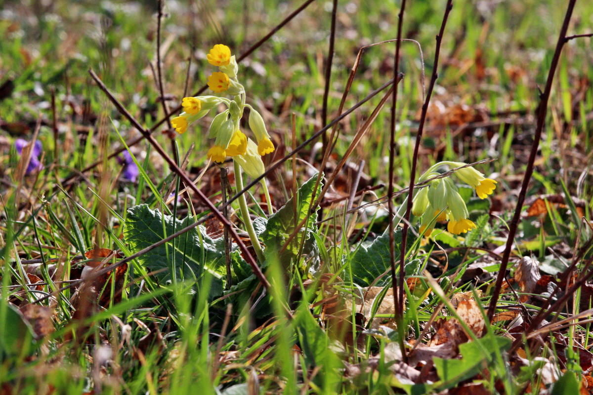 2014_03_21_00038448p_Bildgr��e �ndern