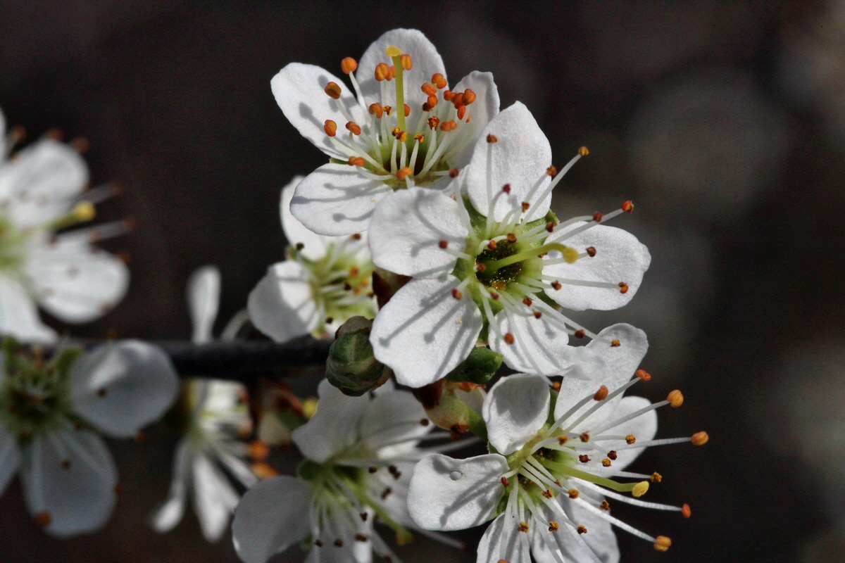 2014_03_21_00038459p_Bildgr��e �ndern