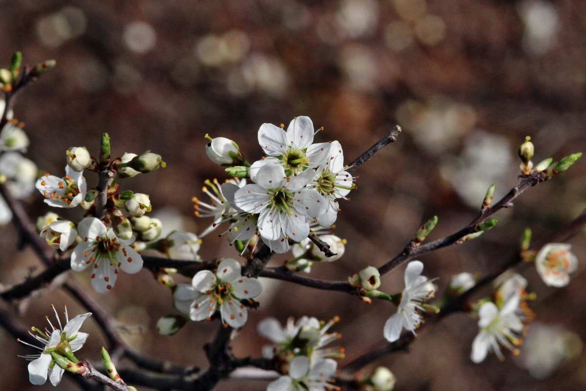 2014_03_21_00038467p_Bildgr��e �ndern