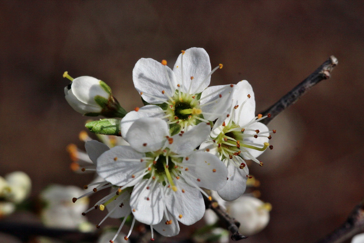 2014_03_21_00038470p_Bildgr��e �ndern