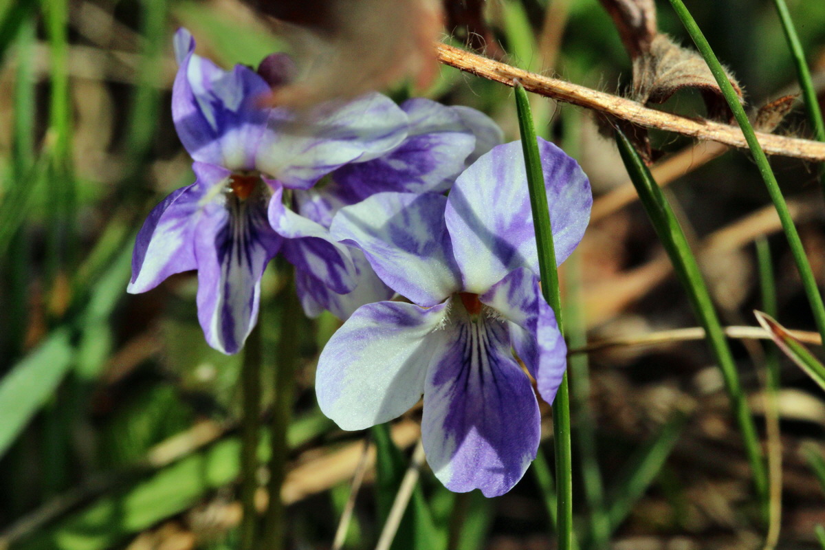 2014_03_21_00038493p_Bildgr��e �ndern