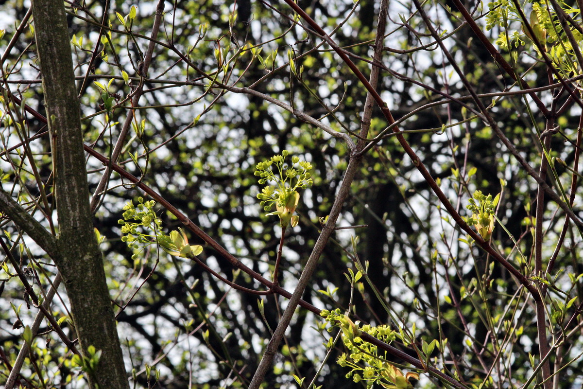 2014_03_21_00038505p_Bildgr��e �ndern