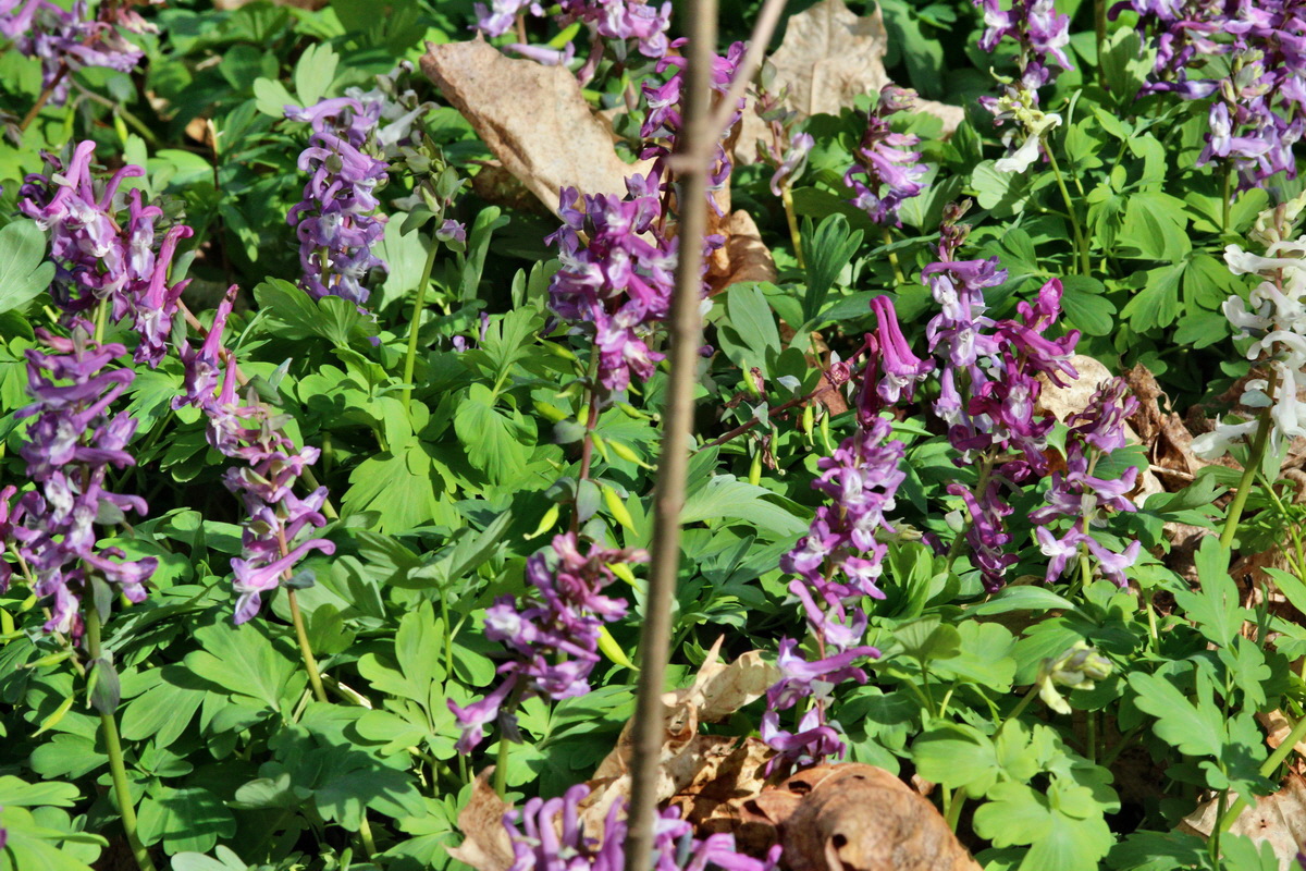 2014_03_21_00038514p_Bildgr��e �ndern