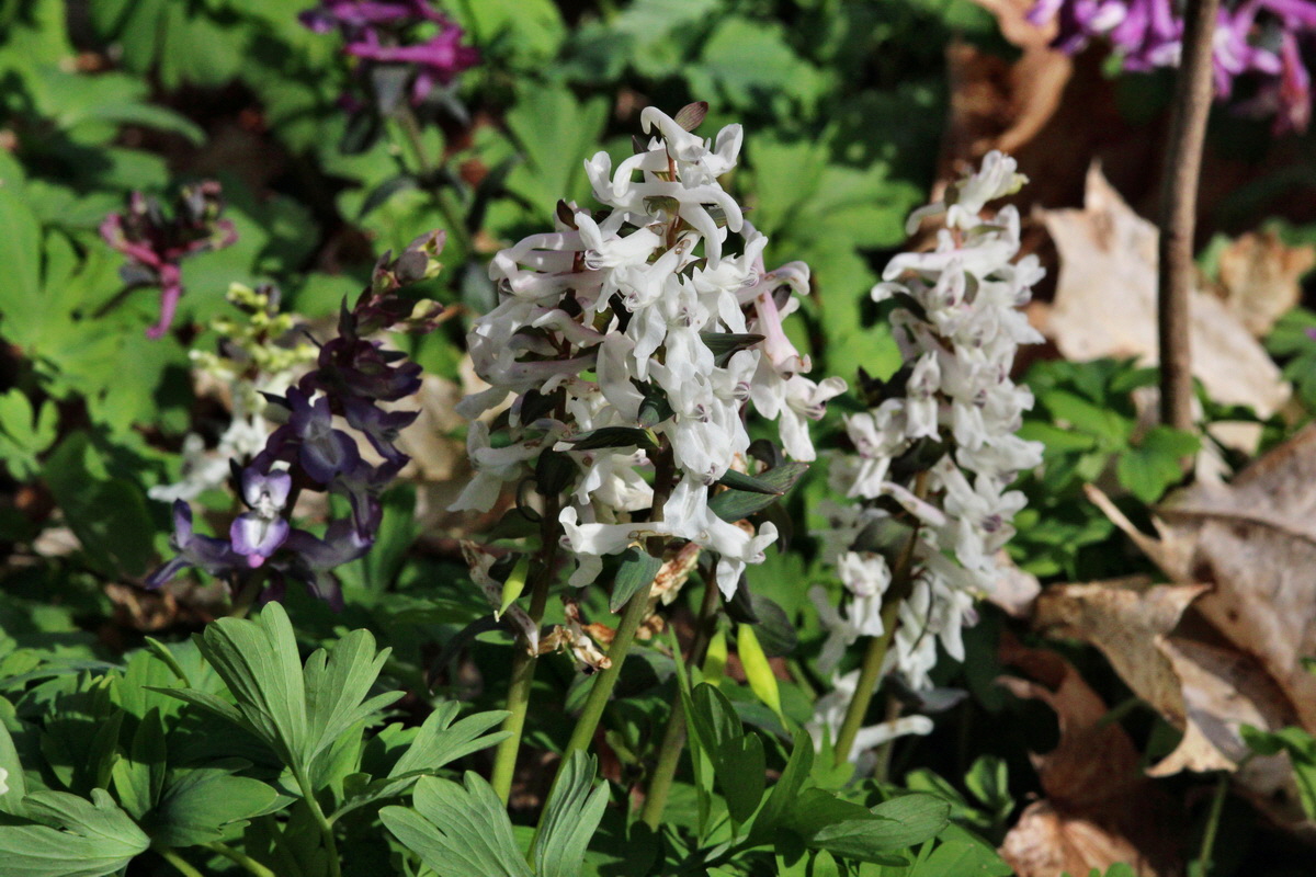 2014_03_21_00038517p_Bildgr��e �ndern