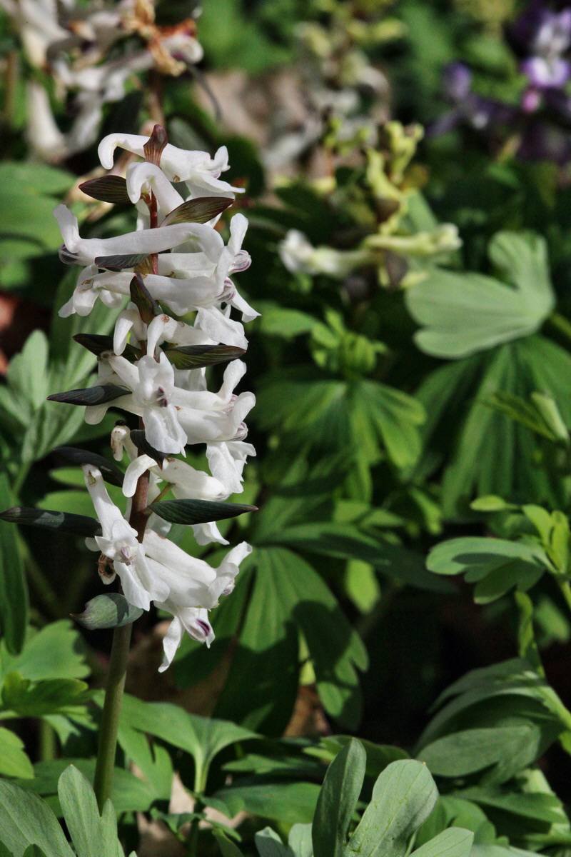 2014_03_21_00038520p_Bildgr��e �ndern