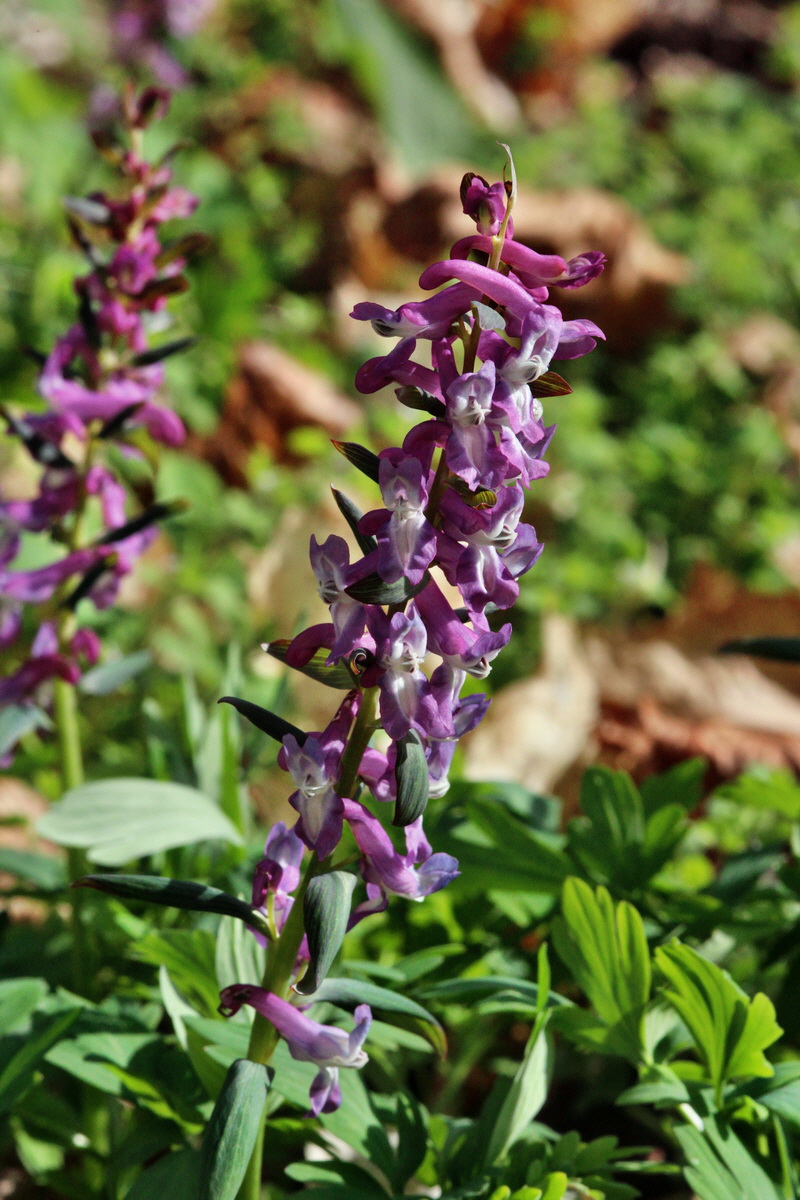 2014_03_21_00038522p_Bildgr��e �ndern