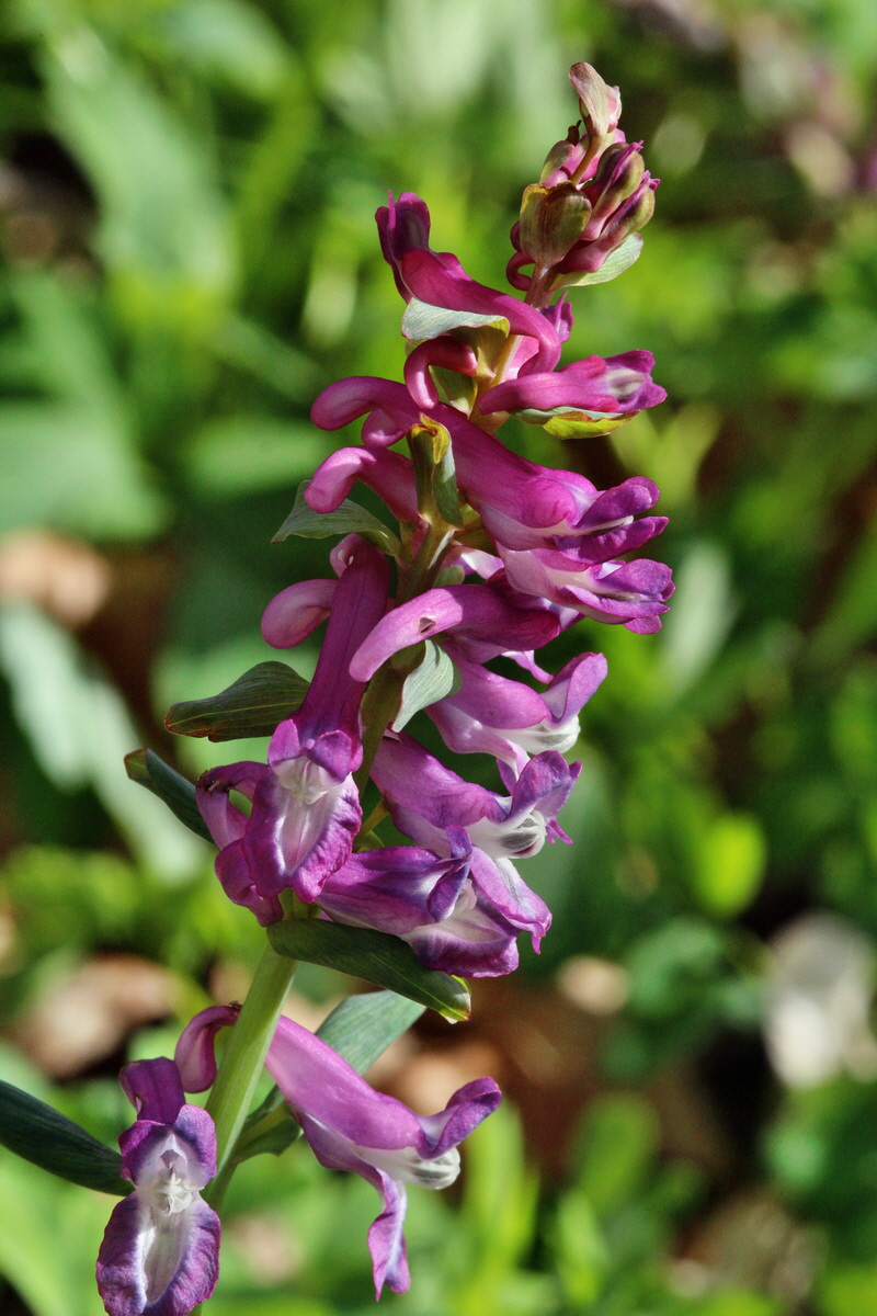 2014_03_21_00038525p_Bildgr��e �ndern