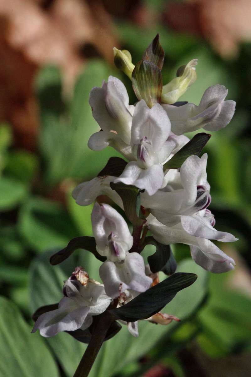 2014_03_21_00038529p_Bildgr��e �ndern