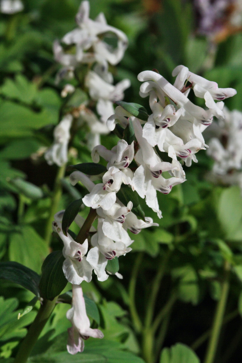 2014_03_21_00038532p_Bildgr��e �ndern