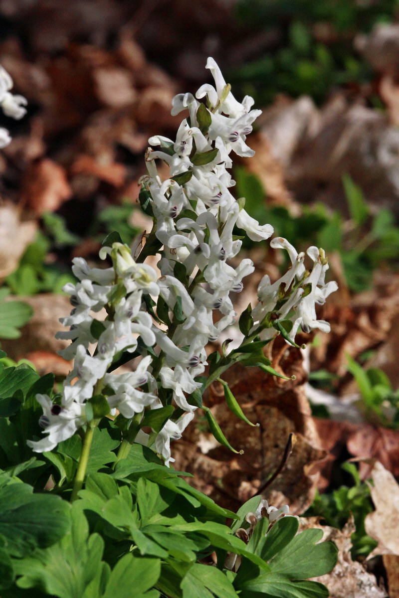 2014_03_21_00038534p_Bildgr��e �ndern