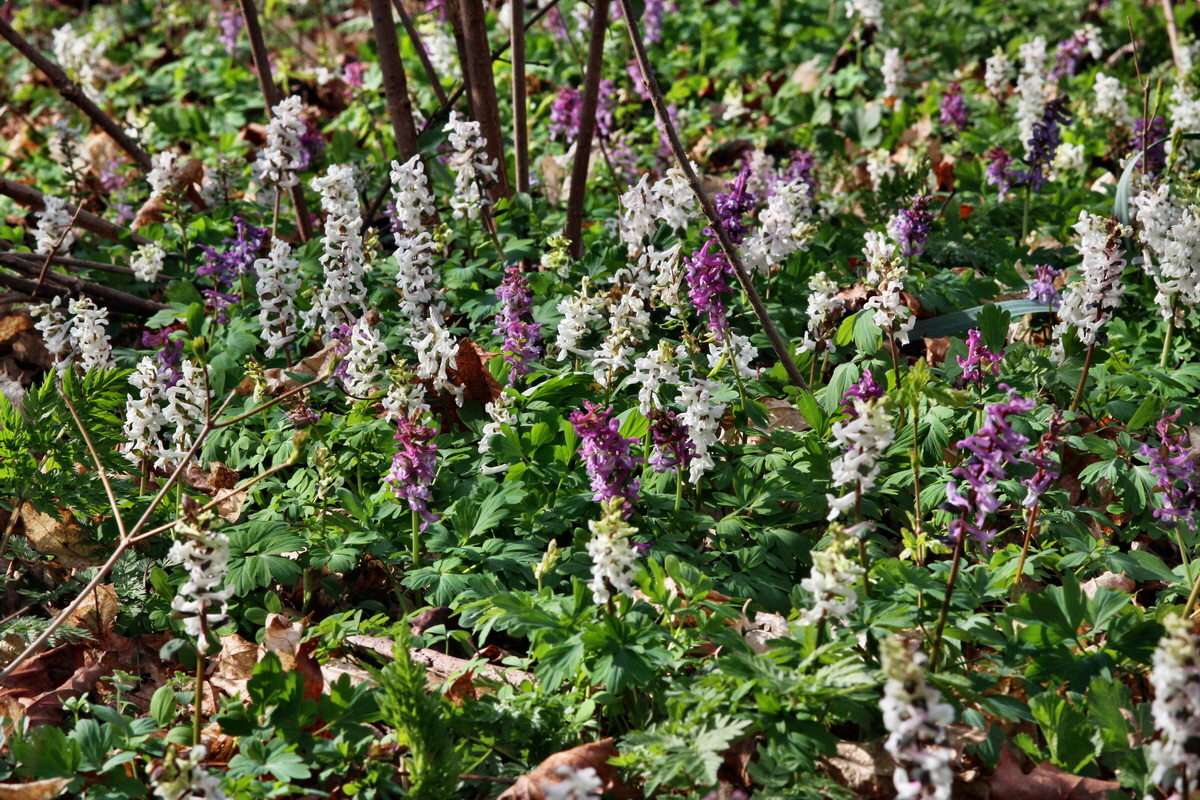 2014_03_21_00038542p_Bildgr��e �ndern